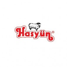 HASYÜN